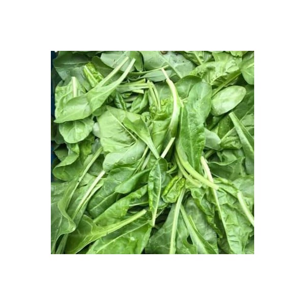 Organic Spinach