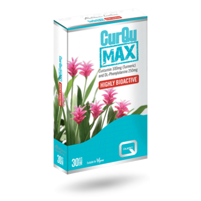 Buy Quest Curqumax 30 Tablets online from Mulberry Bush Wholefoods. UK Supplier of Vitamins Minerals Herbal & Holistic Supplemen