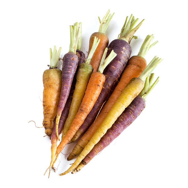 Organic Carrots Rainbow