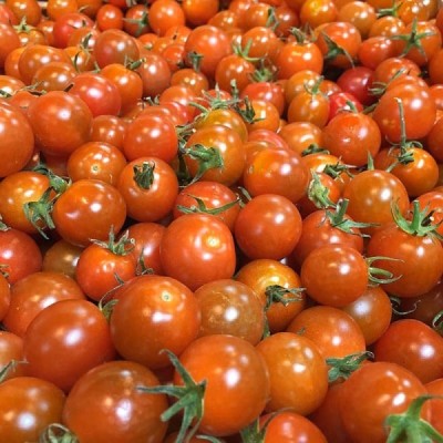 Organic Tomatoes Cherry MIXED