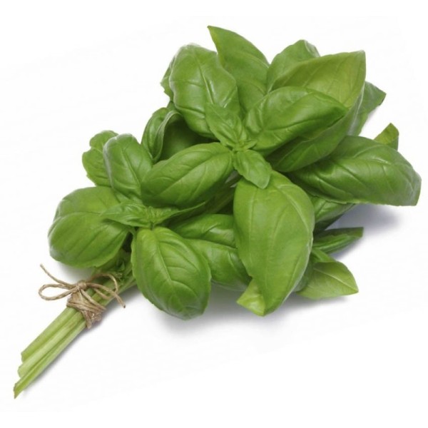 Organic Basil