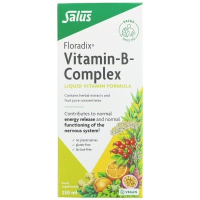 Buy Salus Floradix Vitamin B Complex 250ml Herbal Remedies; Energy & Vitality; Brain Health Online − UK Supplier
