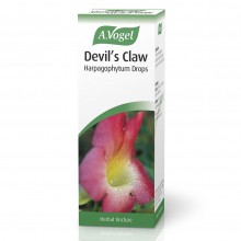 A. Vogel Devil's Claw 100ml