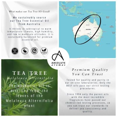 Absolute Aromas Tea Tree Oil 10ml