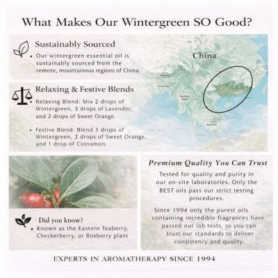 Absolute Aromas Wintergreen Oil 10ml