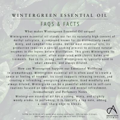 Absolute Aromas Wintergreen Oil 10ml
