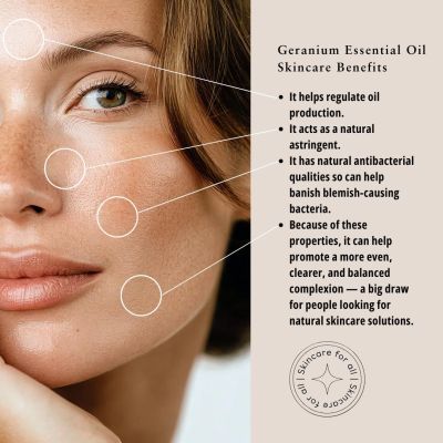 Absolute Aromas Geranium Egyptian Oil 10ml