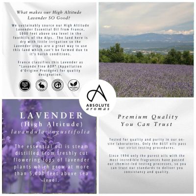 Absolute Aromas Organic Lavender French 10ml