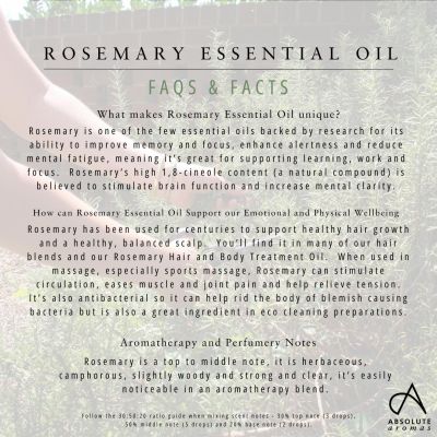 Absolute Aromas Organic Rosemary 10ml