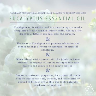 Absolute Aromas Organic Eucalyptus Globulus Oil 10ml