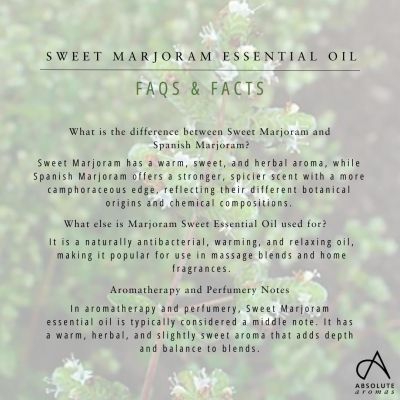 Absolute Aromas Marjoram (Sweet) Oil 10ml