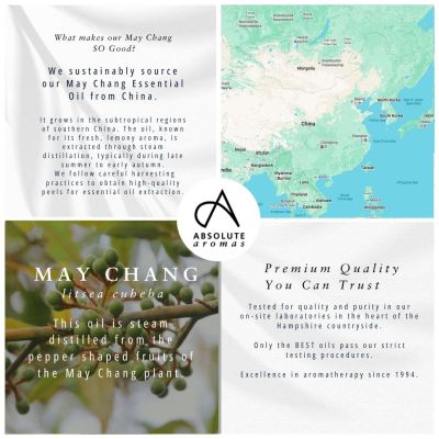Absolute Aromas May Chang Oil 10ml