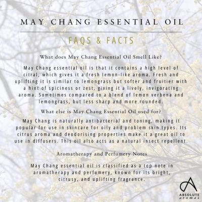 Absolute Aromas May Chang Oil 10ml