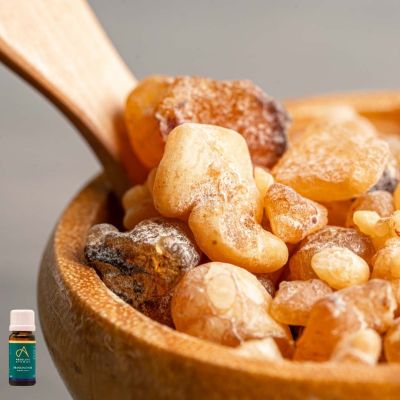 Absolute Aromas Frankincense Oil 5ml