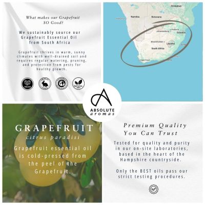 Absolute Aromas Grapefruit Oil 10ml