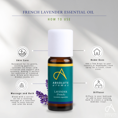 Absolute Aromas Lavender Oil (French) 30ml