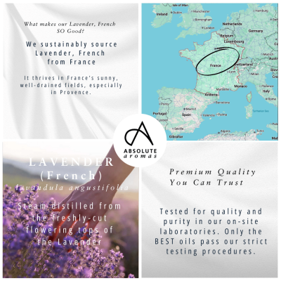 Absolute Aromas Lavender Oil (French) 30ml