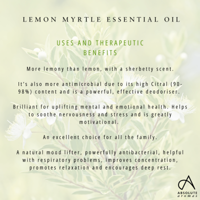 Absolute Aromas Lemon Myrtle Oil 10ml