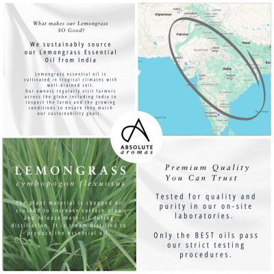 Absolute Aromas Lemongrass Oil 10ml
