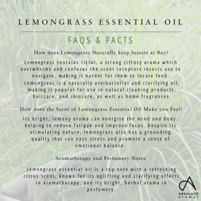 Absolute Aromas Lemongrass Oil 10ml