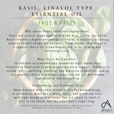 Absolute Aromas Basil Essential Oil 10ml