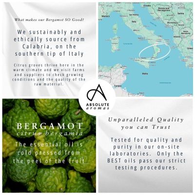 Absolute Aromas Bergamot Oil 10ml