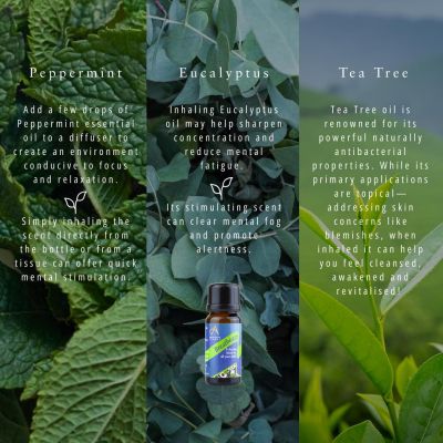 Absolute Aromas Breatheasy 10ml