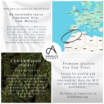 Absolute Aromas Cedarwood Atlas 10ml