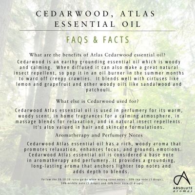 Absolute Aromas Cedarwood Atlas 10ml