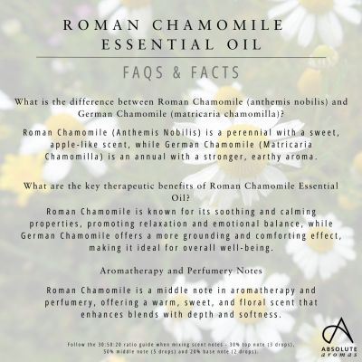 Absolute Aromas Chamomile Roman 5ml