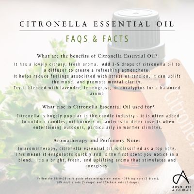 Absolute Aromas Citronella Oil 10ml