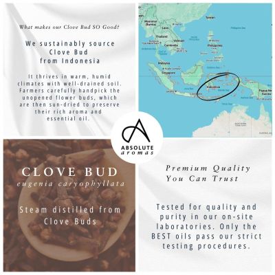 Absolute Aromas Clove Bud Oil 10ml