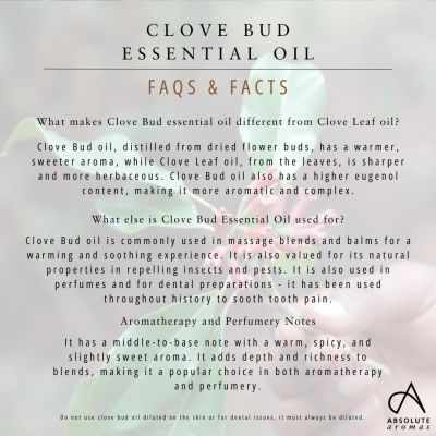 Absolute Aromas Clove Bud Oil 10ml