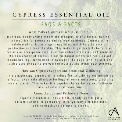 Absolute Aromas Cypress Oil 10ml
