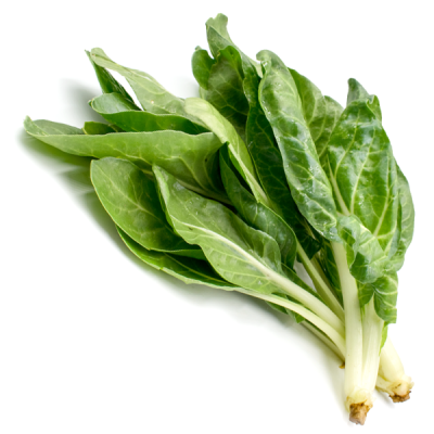 Organic Chard