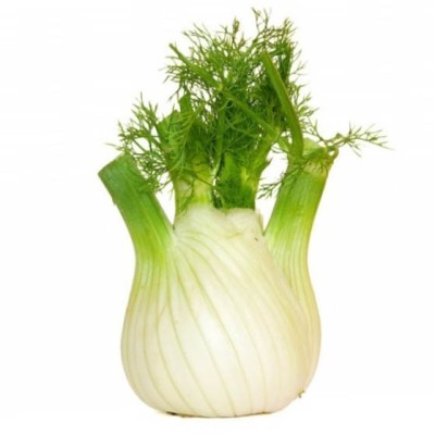Organic Fennel