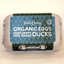 Parc Carreg Organic Duck...