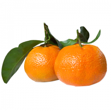 Organic Clementines