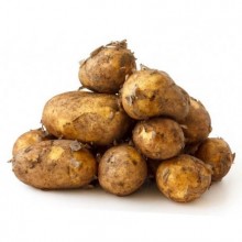 Organic Potatoes New Pembroke