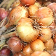 Organic Onions (New Season)