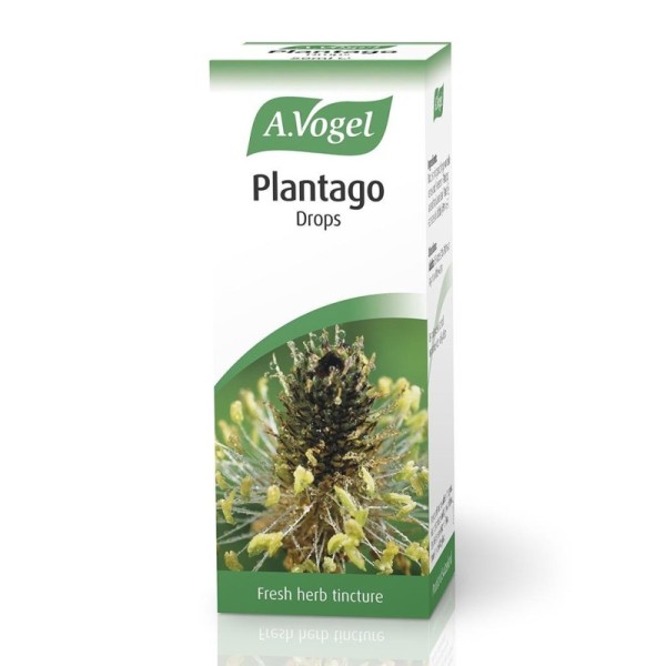 A. Vogel Plantago Lanceolata 50ml