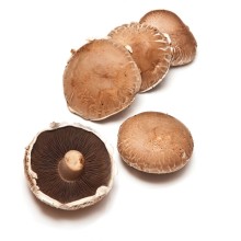 Organic Mushrooms Portabello