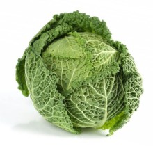 Organic Cabbage Savoy