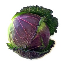 Organic Cabbage January King