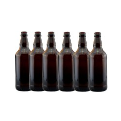 Youngs Beer Bottle 500ml