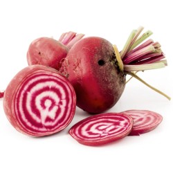 Organic Beetroot Chioggia