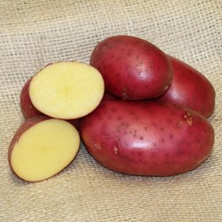 Organic Potatoes Alouette